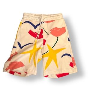 Colourful Sebastian Curie x Zara Shorts